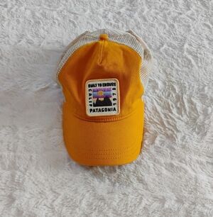 Patagonia Built To Endure Snapback Trucker Hat